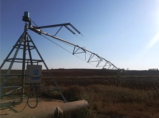 Screenshot 2025-01-20 095643